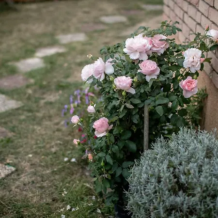 - In Der Naehe Phantasialand Bruehl Und Palmenparadies Therme Euskirchen