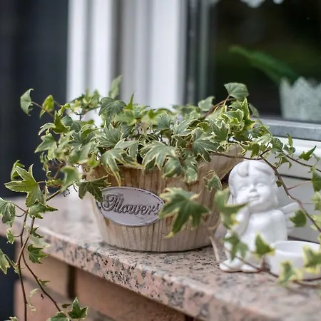 Διαμέρισμα - In Der Naehe Phantasialand Bruehl Und Palmenparadies Therme Euskirchen Swisttal