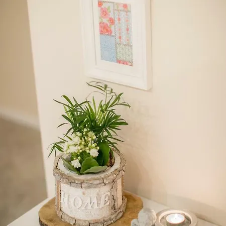 - In Der Naehe Phantasialand Bruehl Und Palmenparadies Therme Euskirchen Swisttal