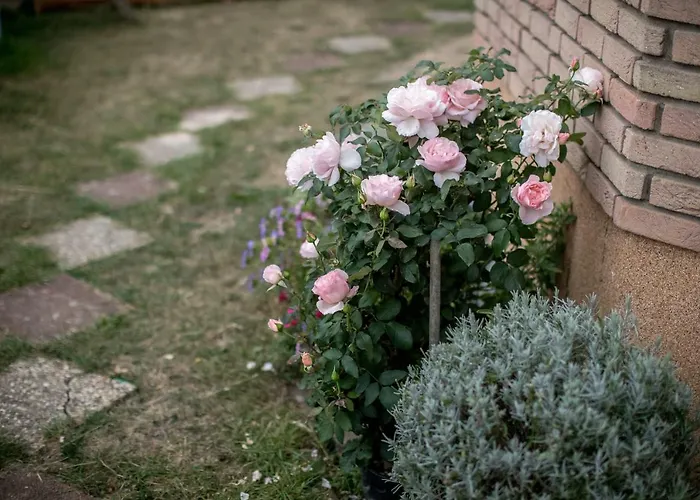 - In Der Naehe Phantasialand Bruehl Und Palmenparadies Therme Euskirchen