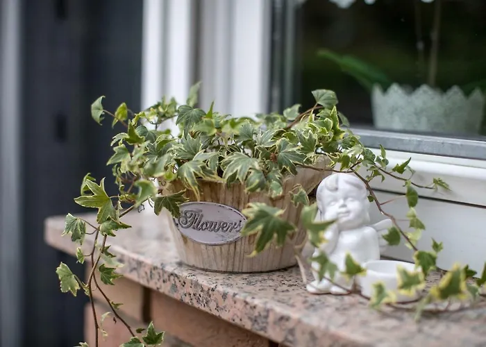 Appartement - In Der Naehe Phantasialand Bruehl Und Palmenparadies Therme Euskirchen Swisttal