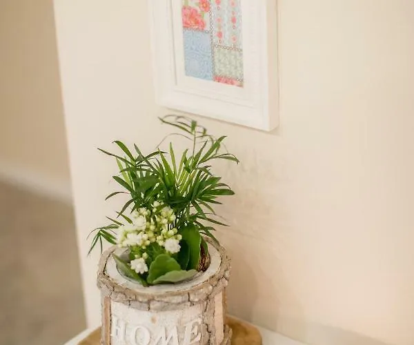 - In Der Naehe Phantasialand Bruehl Und Palmenparadies Therme Euskirchen Swisttal